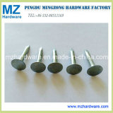 Hot Selling Electro Galvanized Clout Nail/Clout Roofing Nail/Felt Nail