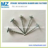Galvanized Umbrella Head China Roofing Nails for Building