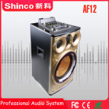 Shinco 12'' Bluetooth Wireless Multimedia Active Prefessional Speaker