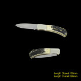 Folding Knife with Ox Bone Handle (#3720)