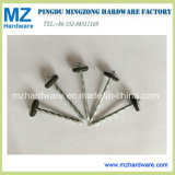 9g*2.5'' Galvanzied Umbrella Head Twisted Shank Roofing Nail with Washer