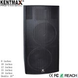 Double 15 Inch 125dB 700W Power Speaker (MS-215)