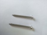 DIN/ANSI/BS/JIS Carbon-Steel/Stainless-Steel 4.8/8.8/10.9 Galvanized Self-Tapping Screw for Building