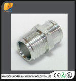 Stainless Steel Hardware Accessories Bolts and Nuts