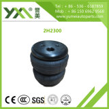 Zhucheng Yumei Auto Parts Co., Ltd.
