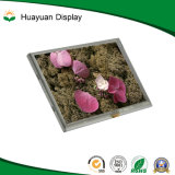 Hunan Huayuan Display Technology Co., Ltd.