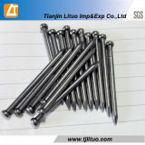 Galvanized Iron Brad Nails for Building Construction