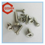 Variety Kinds of Stainless Steel Machine Screw