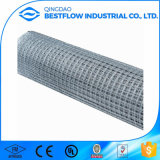 Best Price Building Material Galvanized Welded Wire Mesh
