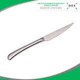 Hotel Catering Steak Knife