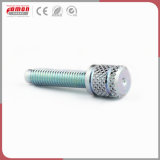 Eco-Friendly Screw Stud Stainless Steel Bolt Furniture Hardware