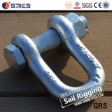 China Wholesale Us Type Hot DIP Galvanized Carbon D Shackle