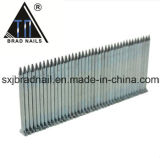 Hardware Manufacturer Export St Concrete Nails St18-64