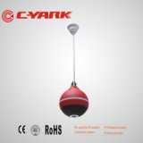 C-Yark China Manufacturer Coffee Bar Pendant Speaker
