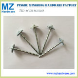 9gx2.5'' Umbrella Head Roofing Nails with Smooth / Twist Shank