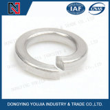 DIN127 Stainless Steel Spring Washer
