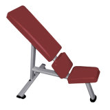 Incline 55-Degree Bench Gym Equipment /Commercial Use Hammer Strength