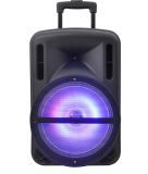 12 Inch Speaker with FM Remote Wireless Microphone Bluetooth F12-1