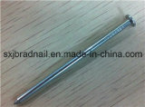 Hardware Fastener Common Nails From China