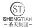 Hebei Shengtian Pipe-Fitting Group Co., Ltd.