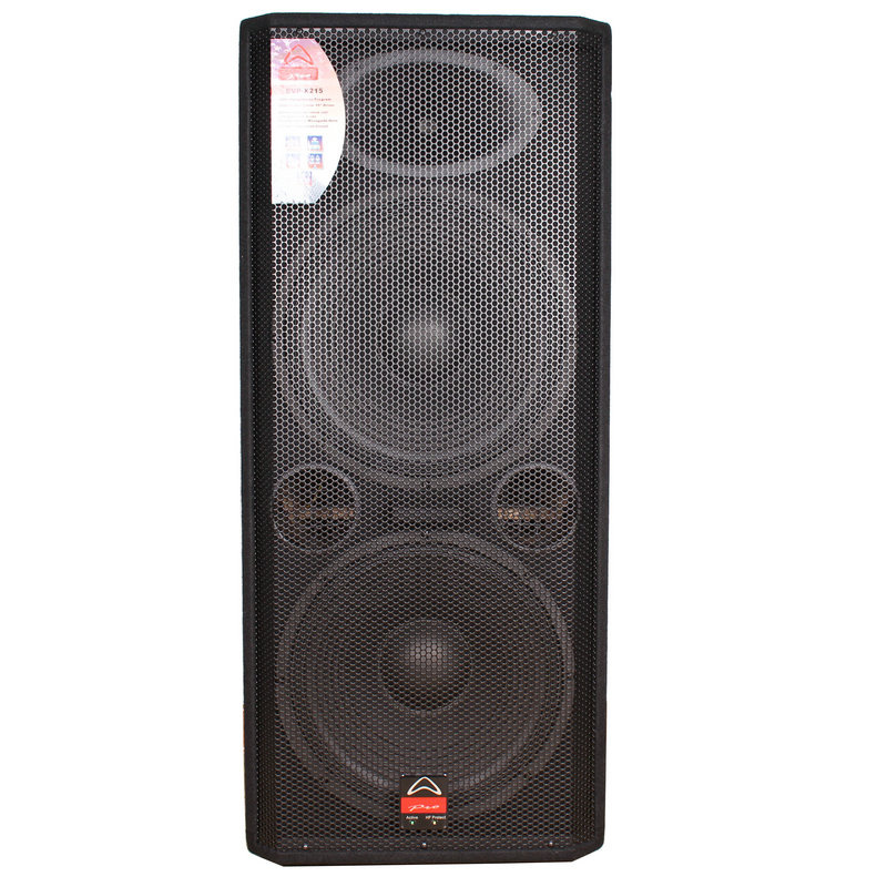 PRO Audio, Loud Speaker