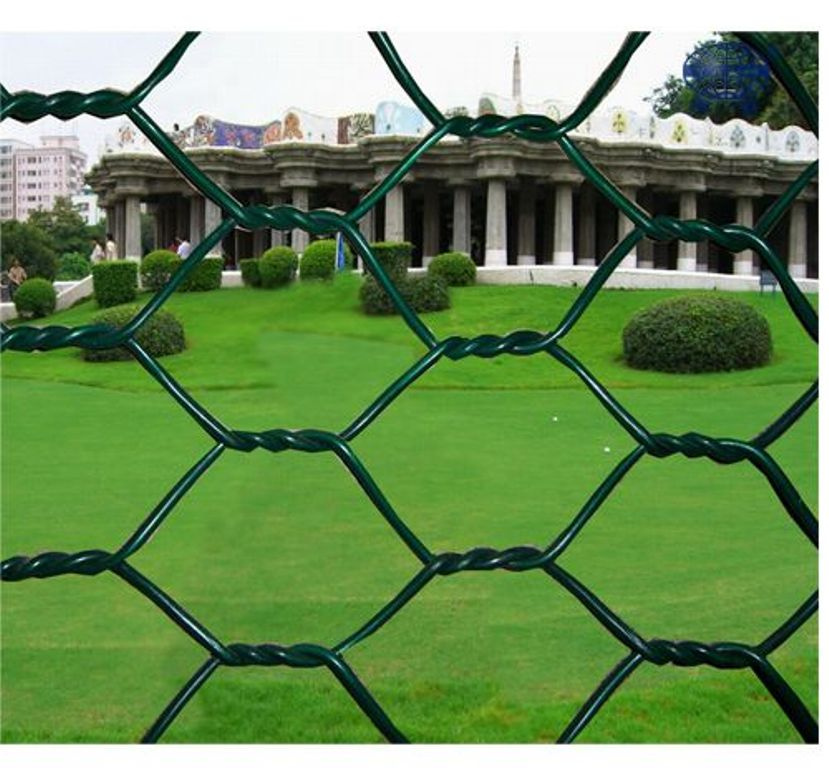 PVC Coated Hexagonal Wire Mesh