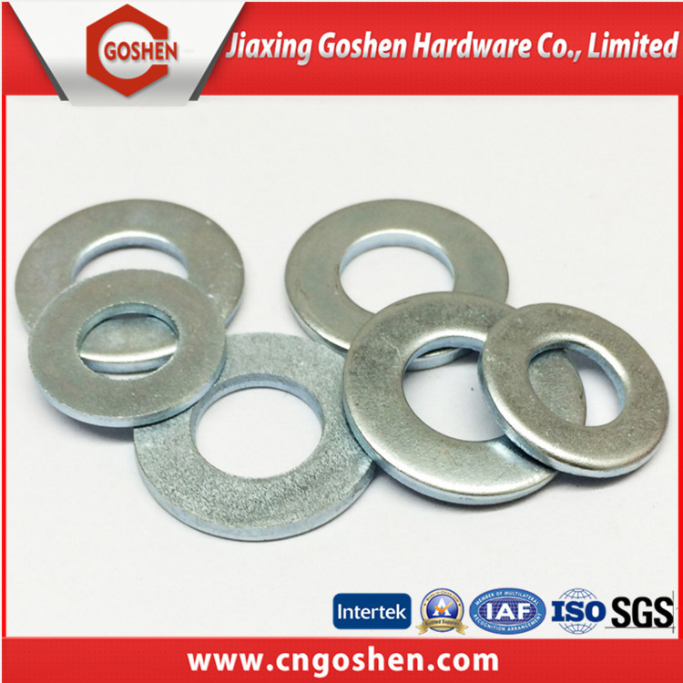 Carbon Steel Flat Washer/Spring Washer/Square Washer/Lock Washer