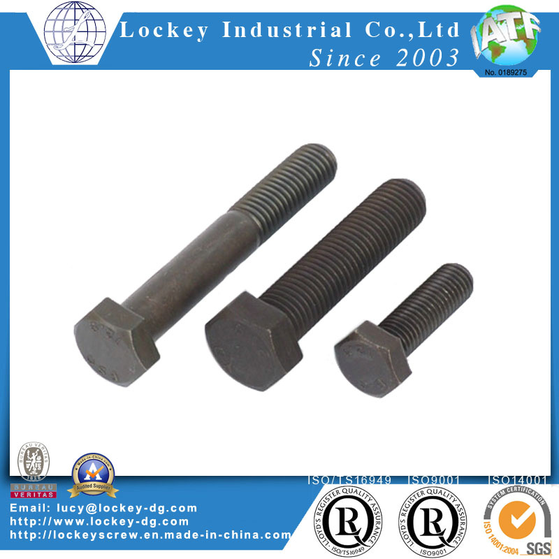 Grade 8 Hex Screw for Building