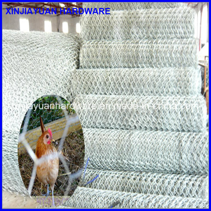 Hot Dipped Galvanized Hexagonal Wire Netting