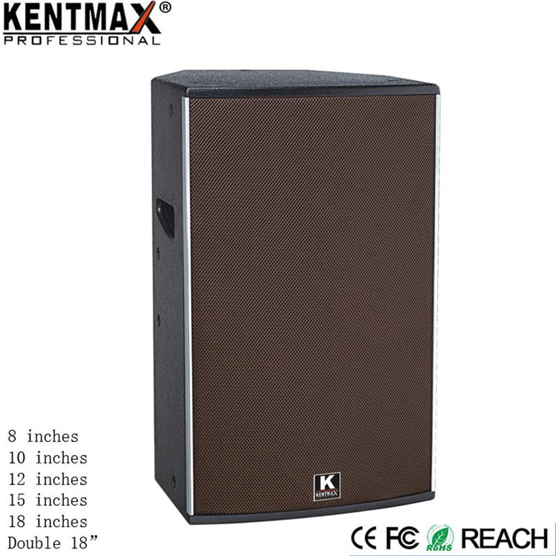 350W B9c 12 Inch Professional Karaoke Speaker (VI-12)