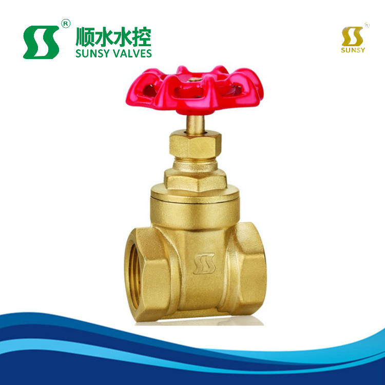 Ss1010 Bsp NPT Brass Gate Valve Brass Stem