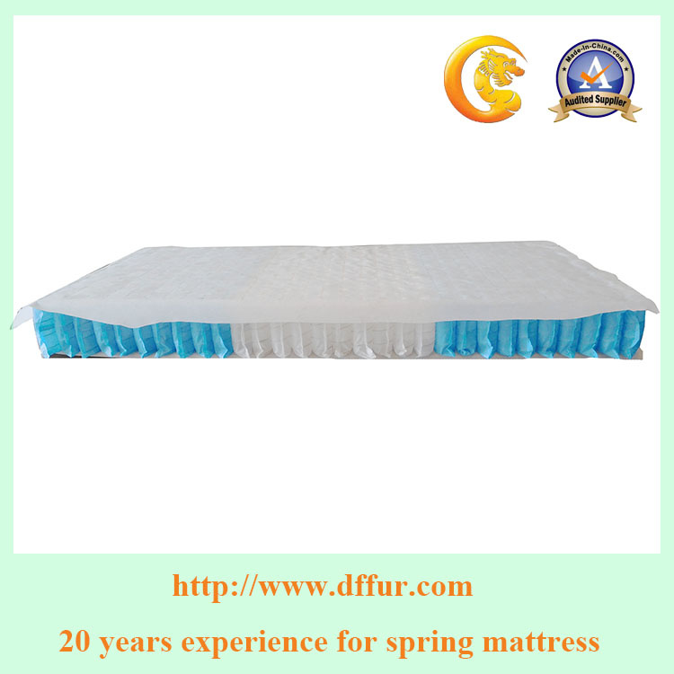 Custom High Quality Pocket Spring for Mattress-Df-01