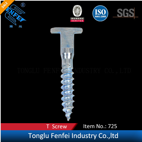 Security T Shaped Screw for Home Picture Frame
