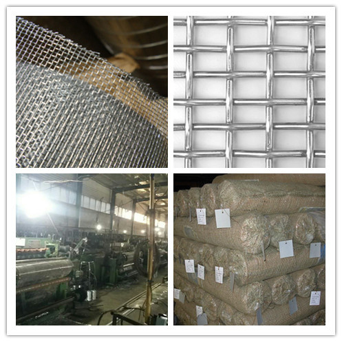 Galvanized Square Wire Mesh for Screen