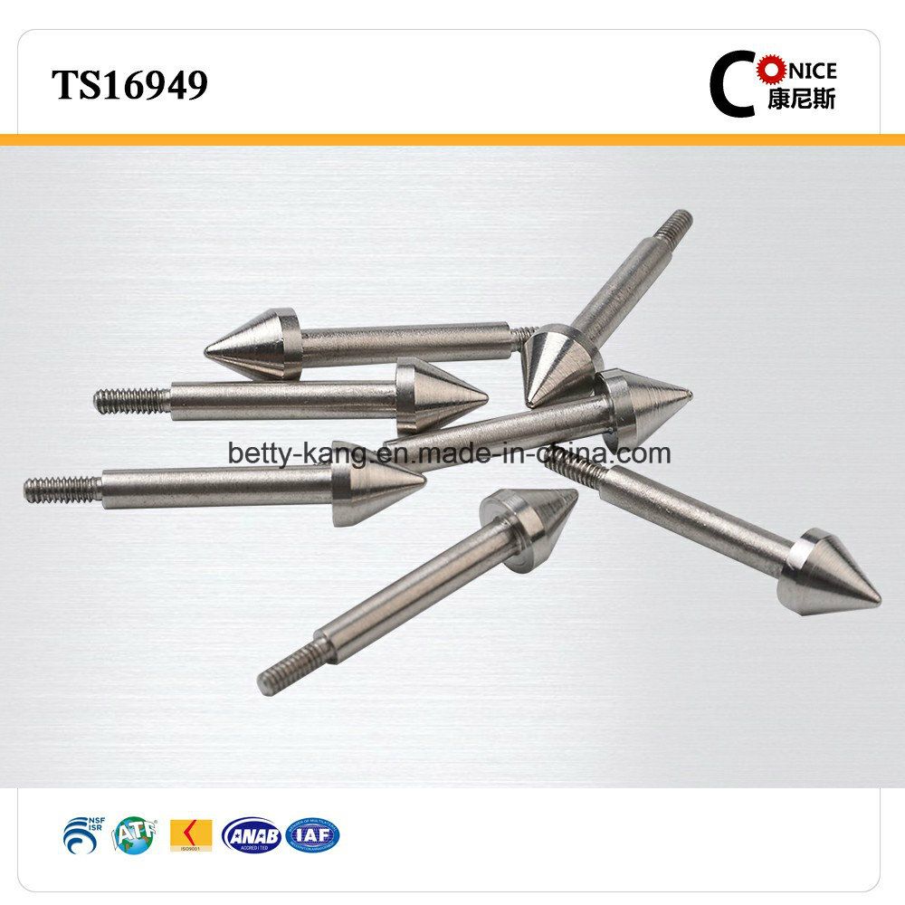 Professional Factory Stainless Steel Rivets for Home Application