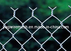 China Supplier of Chain Link Fence in Good Price