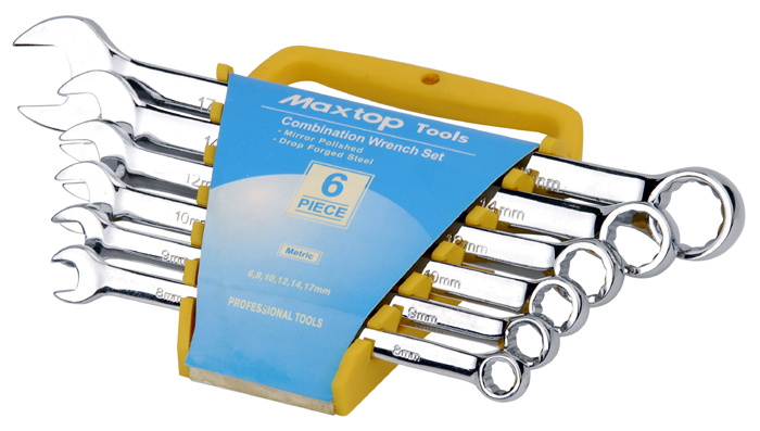 Wrench/Combination Wrench/Combination Wrench Set (TD5102P)