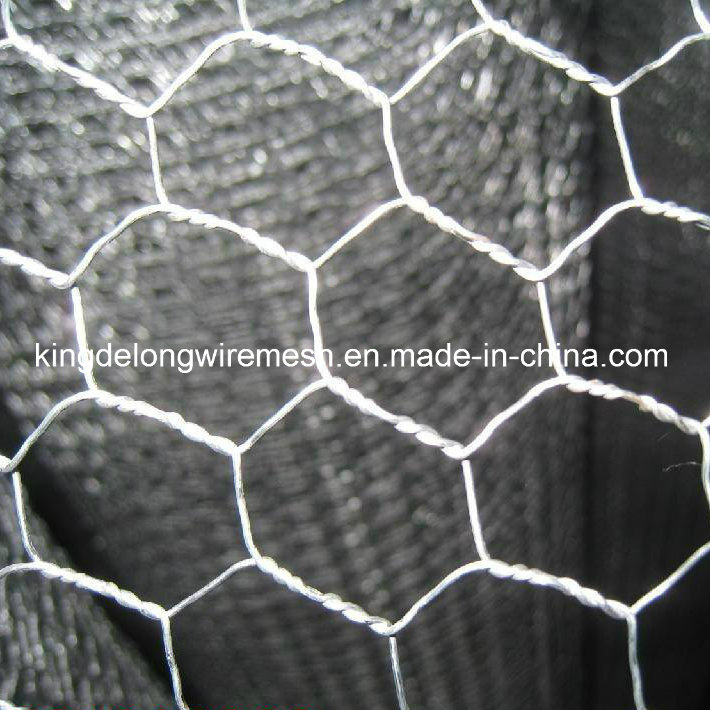 Gabion Box/Gabion Mesh/Hexagonal Wire Mesh/Gabion