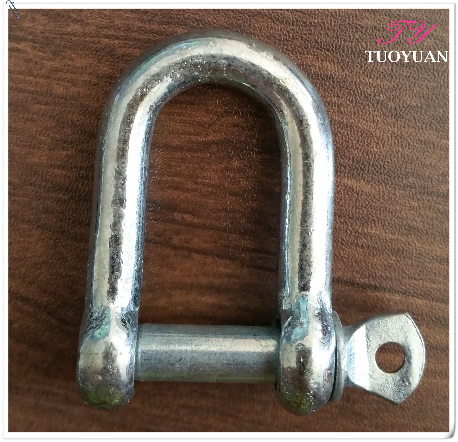Galvanzed European Type Large D Shackle