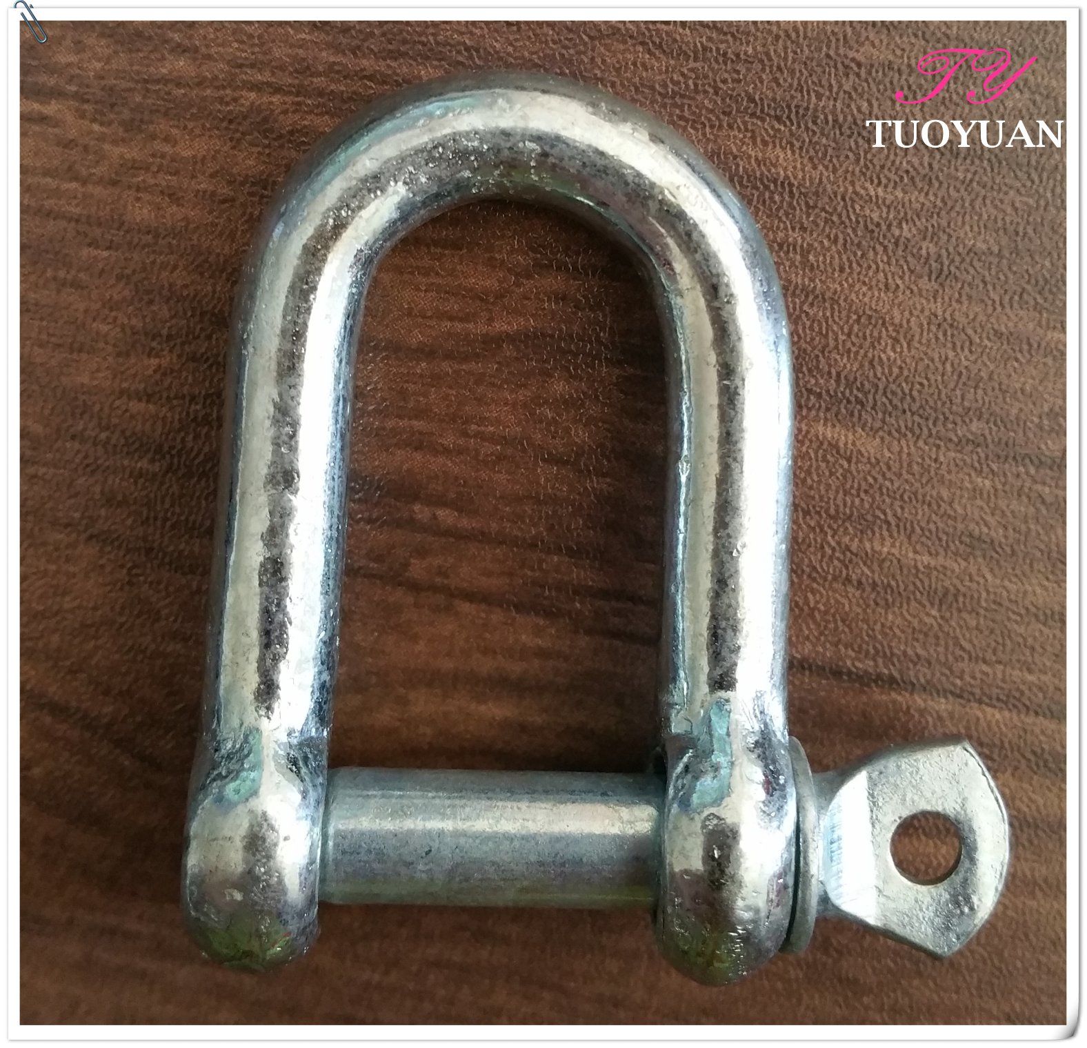 Galvanzed European Type Large D Shackle