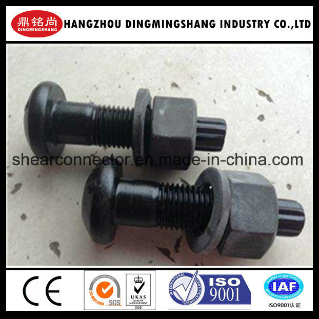 ASTM A325 Tension Control Bolt