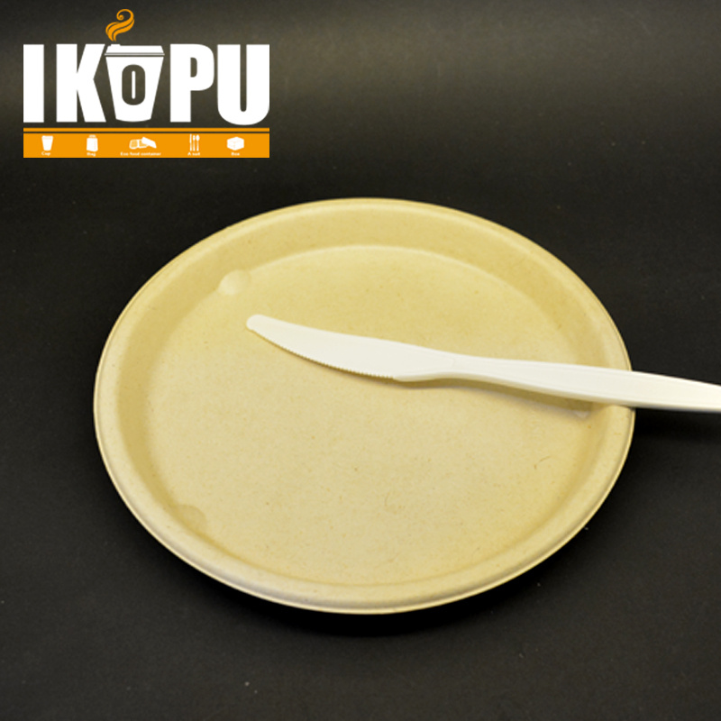 Wholesale Restaurant Biodegradable Disposable Cpla Cake Knife