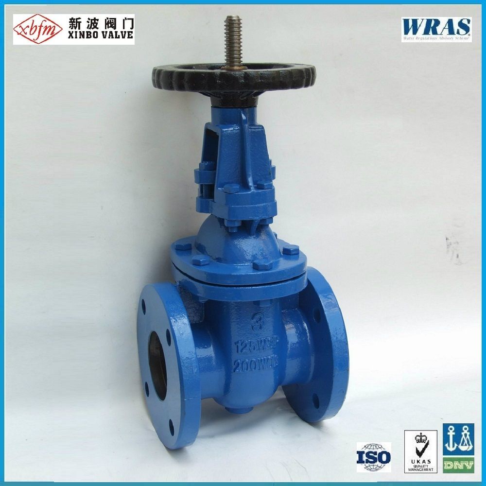 ANSI-125psi/150psi Cast Iron Gate Valve (Rising Stem)