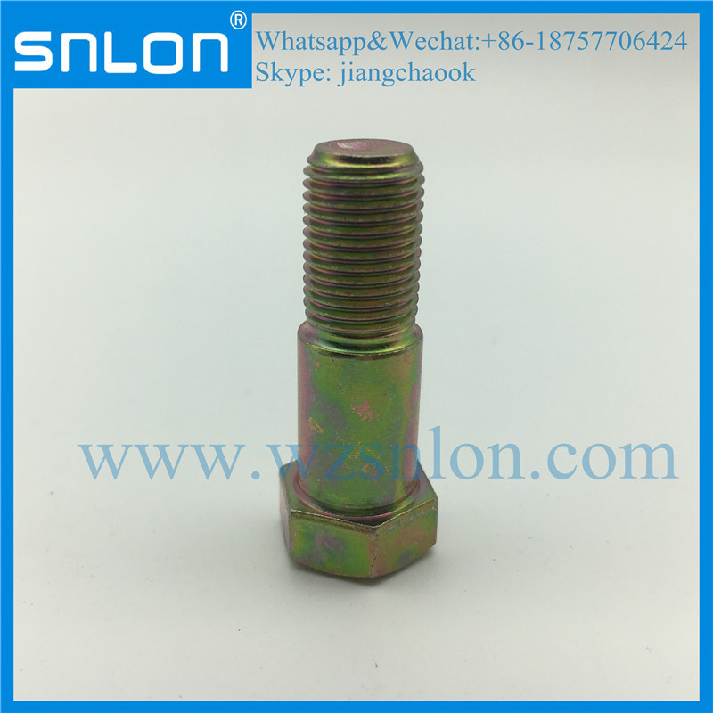 Custom High Strength Hex Bolt Machine Screw for Hardware