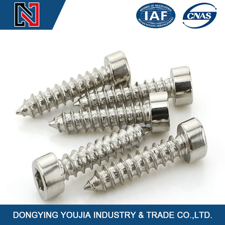 Galvanized Metric Torx Head Machine Screws