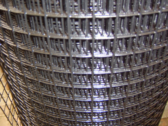 Galvanized Welded Wire Mesh for Building