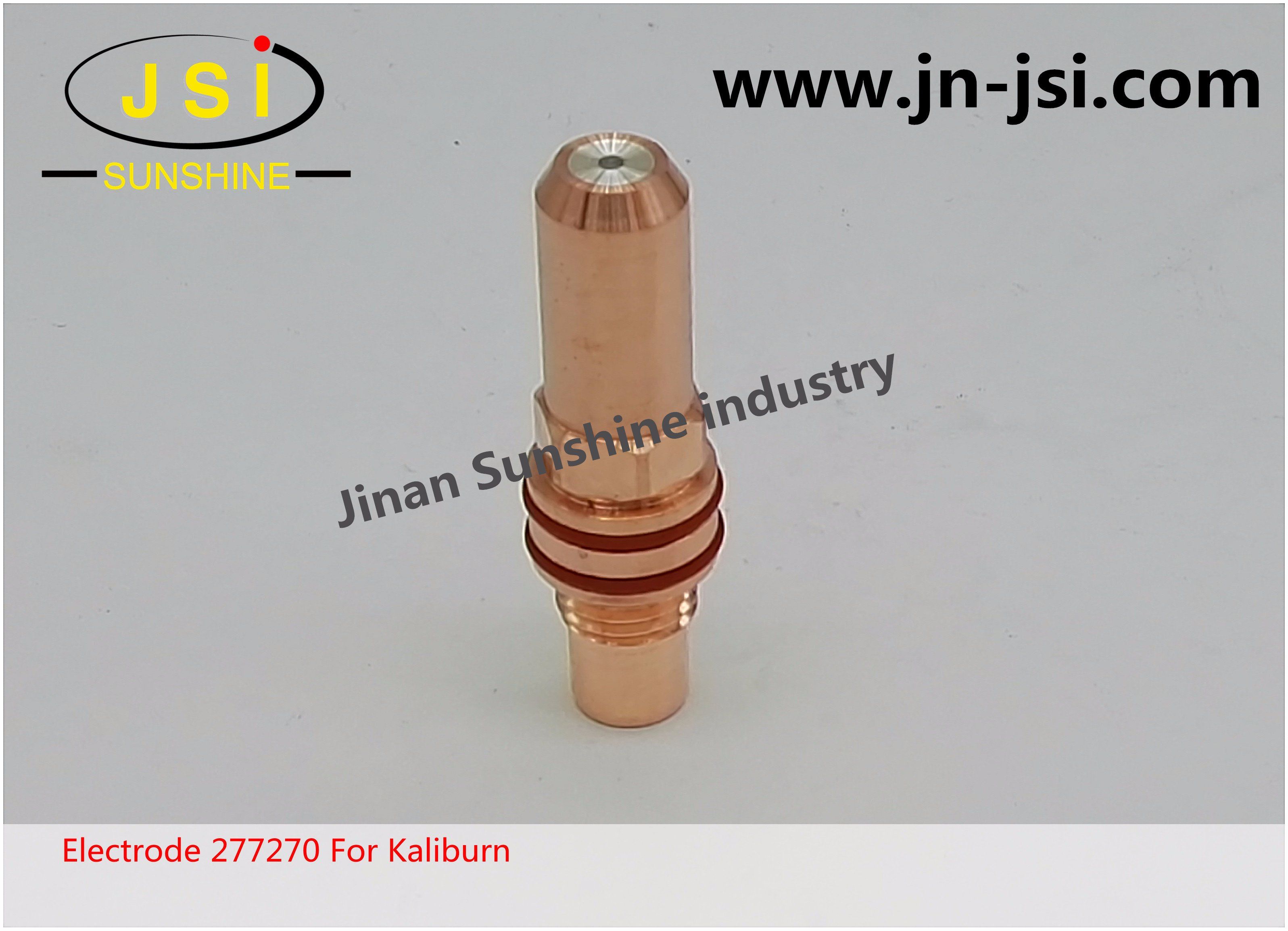 Kaliburn Consumables Electrode 277270 for Proline 2150/2200/2260