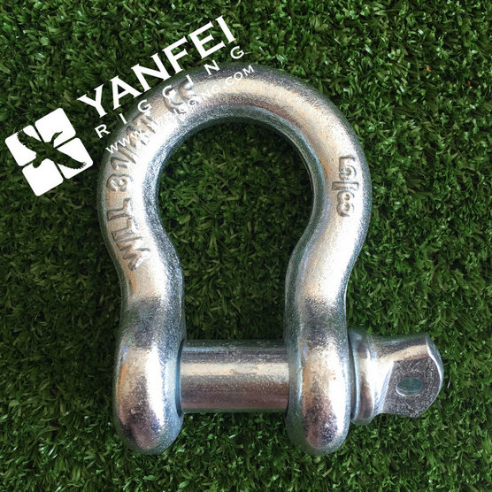 U. S. Type Drop Forged Alloy Steel G209 Hardware Marine Shackle