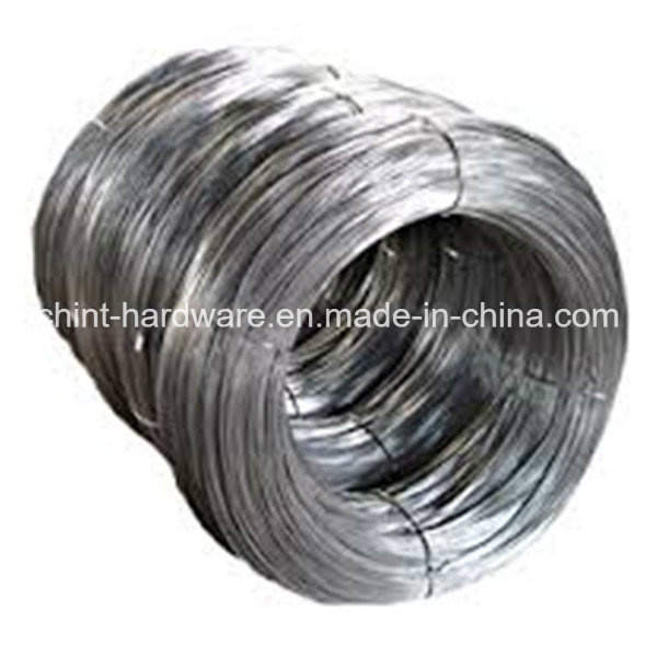 Galvanized Iron Wire Wire Mesh 12#