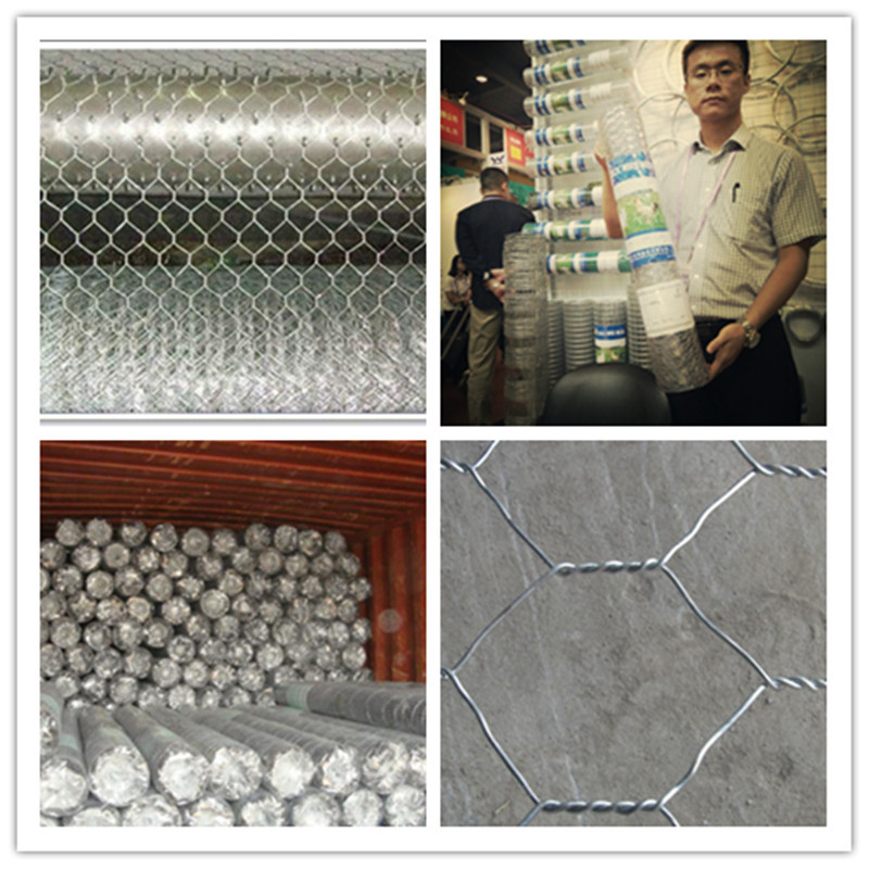 Hexagonal Wire Mesh for Chicken Mesh